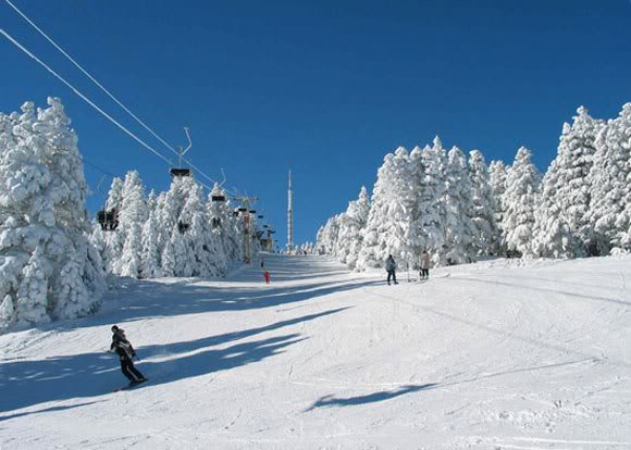 Skifahren in Deutschland immer noch am günstigsten Skifahren in Deutschland