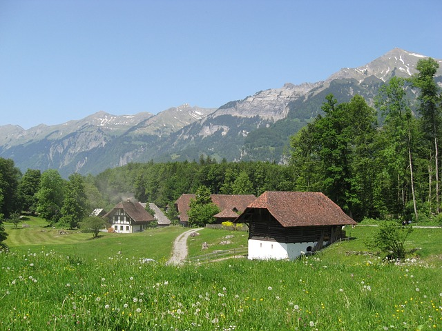 Schweiz will Grenze für Deutsche schließen Schweiz will Grenze für Deutsche schließen