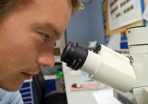 Deutschland ist für die Wissenschaftler nicht mehr attraktiv wissenschaftler
