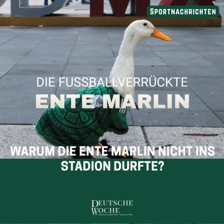 Warum die fußballverrückte Ente „Marlin“ trotz großer Fan-Unterstützung nicht ins Stadion durfte Warum die fußballverrückte Ente „Marlin“ trotz großer Fan-Unterstützung nicht ins Stadion durfte