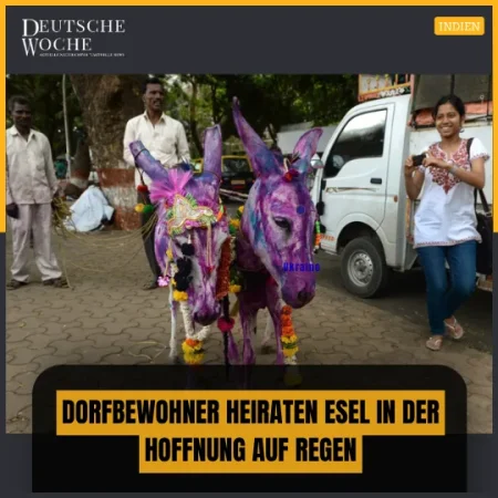 Indien: Dorfbewohner heiraten Esel in der Hoffnung auf Regen