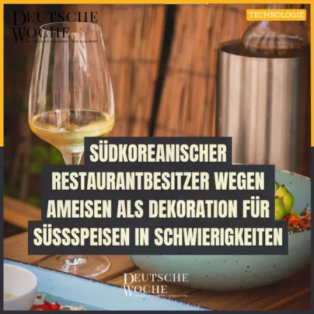 Ameisen Süßspeisen Südkorea, Restaurant Ameisen verwenden, Insekten in Gerichten, Ameisen Lebensmittel Skandal, südkoreanisches Restaurant Insekten