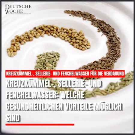 Kreuzkümmel-, Sellerie- und Fenchelwasser: Welche gesundheitlichen Vorteile möglich sind