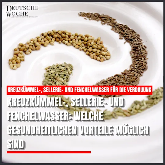 Kreuzkümmel-, Sellerie- und Fenchelwasser: Welche gesundheitlichen Vorteile möglich sind Kreuzkümmel-, Sellerie- und Fenchelwasser: Welche gesundheitlichen Vorteile möglich sind