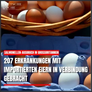Salmonellen-Ausbruch in Großbritannien: 207 Erkrankungen mit importierten Eiern in Verbindung gebracht